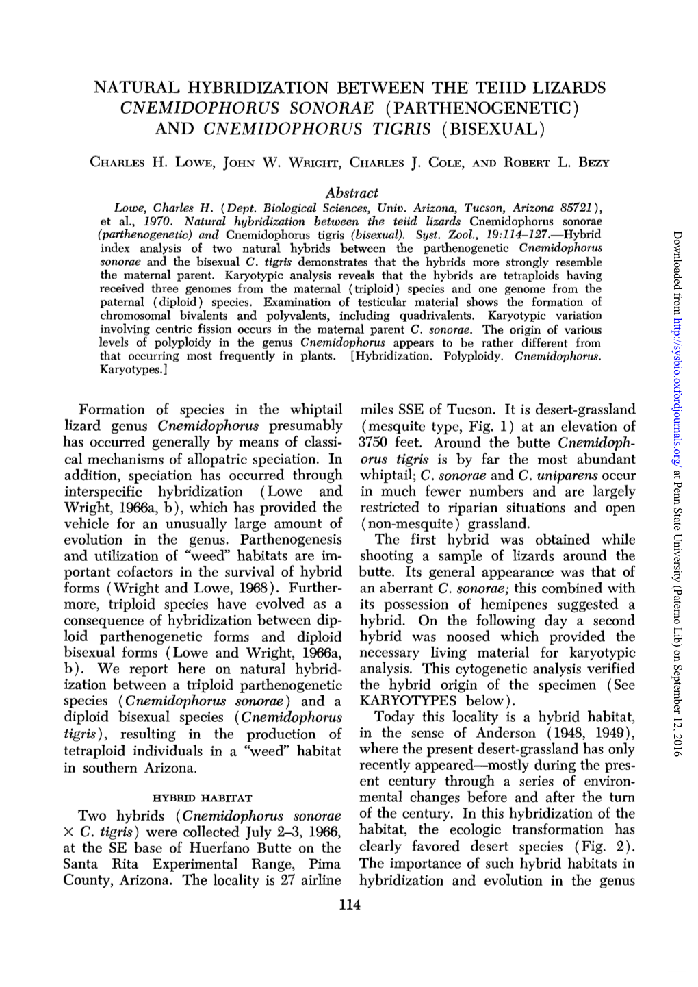 Natural Hybridization Between the Teiid Lizards Cnemidophorus Sonorae (Parthenogenetic) and Cnemidophorus Tigris (Bisexual)