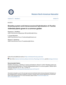 Breeding System and Interaccessional Hybridization of Purshia Tridentata Plants Grown in a Common Garden