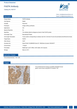 FASTK Antibody