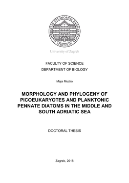 Morphology and Phylogeny of Picoeukaryotes and Planktonic Pennate Diatoms in the Middle and South Adriatic Sea