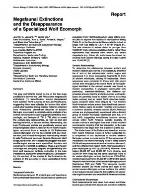 Megafaunal Extinctions and Thie Disappearance of a Specialized Wolf Ecomorph