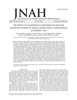 The Effect of Plasmodium Floridense on Relative Leukocyte Counts of Anolis Sagrei and A
