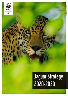 Jaguar Strategy 2020-2030