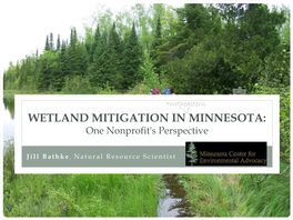 Wetland Mitigation in Minnesota: One Non-Profit's Perspective