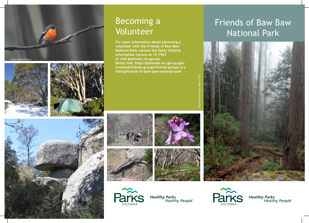 Becoming a Volunteer Friends of Baw Baw National Park