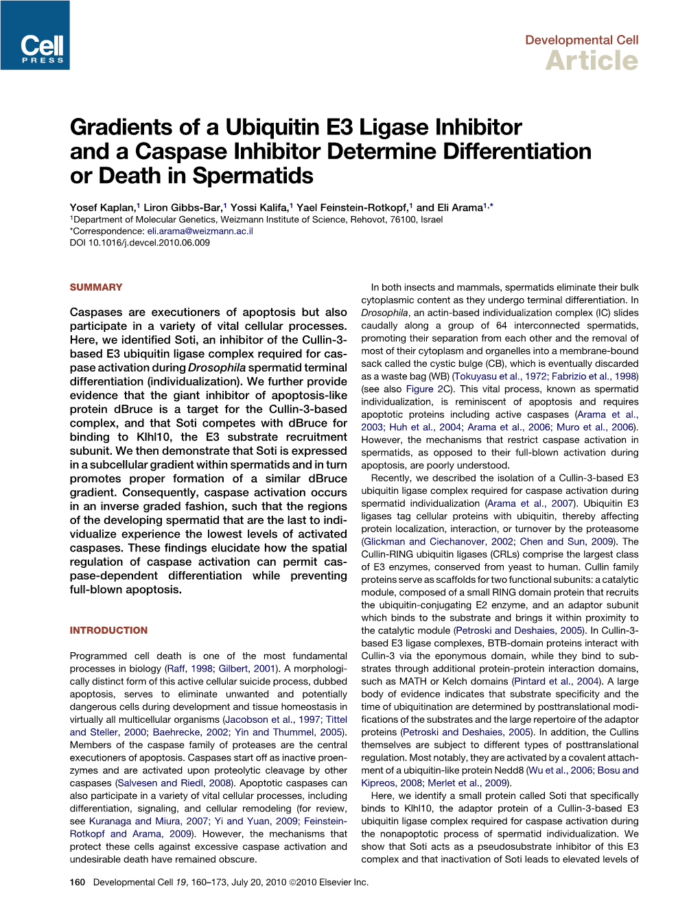 Gradients of a Ubiquitin E3 Ligase Inhibitor and a Caspase Inhibitor Determine Differentiation Or Death in Spermatids