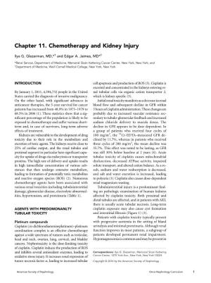 Chapter 11. Chemotherapy and Kidney Injury