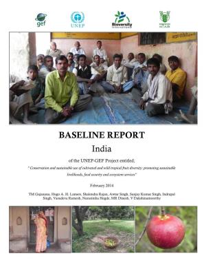 BASELINE REPORT India