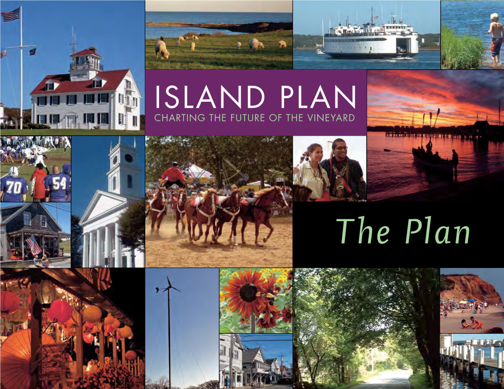 The Plan ISLAND PLAN ------CHARTING THIE FUTURE of the VINEYAIRD