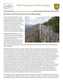 Wild Vegetation of West Virginia Dry Pines