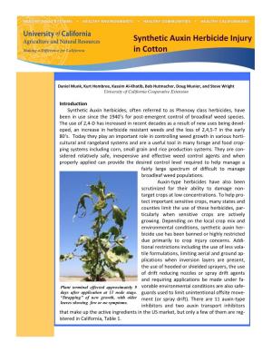 Synthetic Auxin Herbicide Injury in Cotton