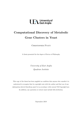 Computational Discovery of Metabolic Gene Clusters in Yeast