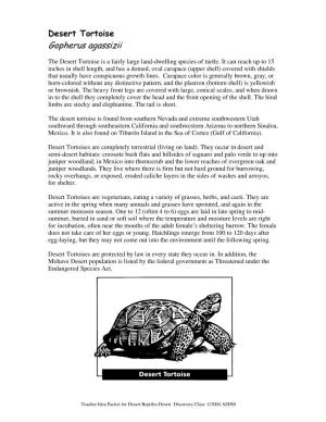 Desert Tortoise Gopherus Agassizii
