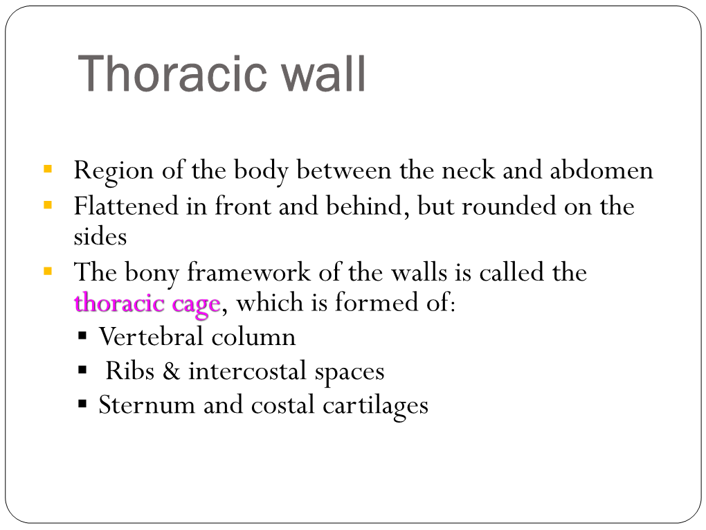 Thoracic Wall