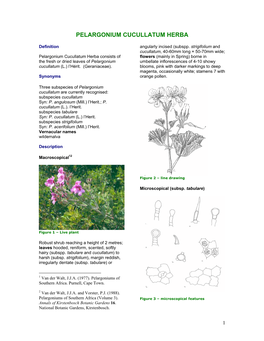 Pelargonium Cucullatum Herba