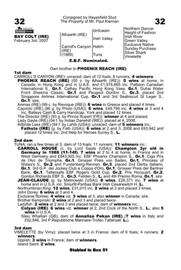 Consigned by Hayesfield Stud the Property of Mr. Paul Kiernan Unfuwain Northern Dancer Height of Fashion Alhaarth (IRE) Irish Va