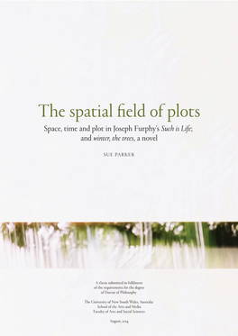 The Spatial Eld of Plots