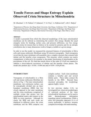 Tensile Forces and Shape Entropy Explain Observed Crista Structure in Mitochondria