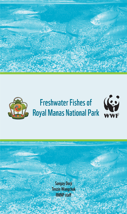 Freshwater Fishes of Royal Manas National Park