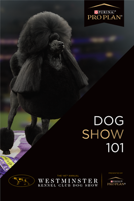 Dog Show 101