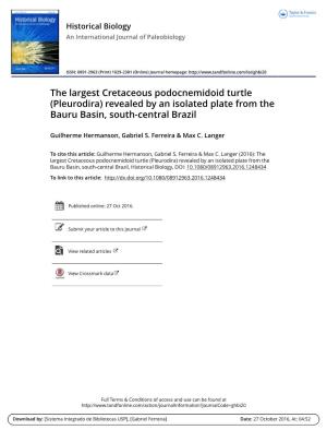 The Largest Cretaceous Podocnemidoid Turtle (Pleurodira) Revealed by an Isolated Plate from the Bauru Basin, South-Central Brazil