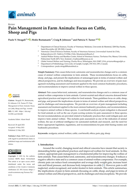 Pain Management in Farm Animals: Focus on Cattle, Sheep and Pigs