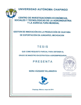 Gestion De La Innovacion En La Produccion De Guayaba De Exportacion En Jungapeo, Michoacan