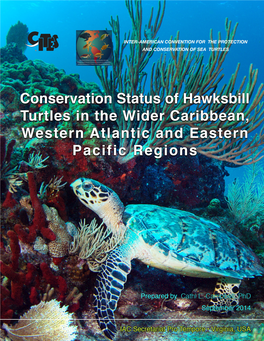 Conservation Status of Hawksbill Turtles in the Wider Caribbean, Western Atlantic and Eastern Pacific Regions