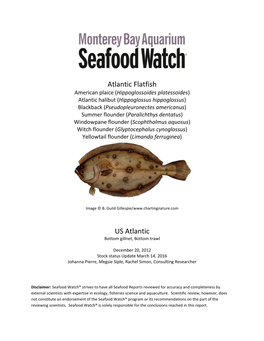 US Atlantic-Flatfish