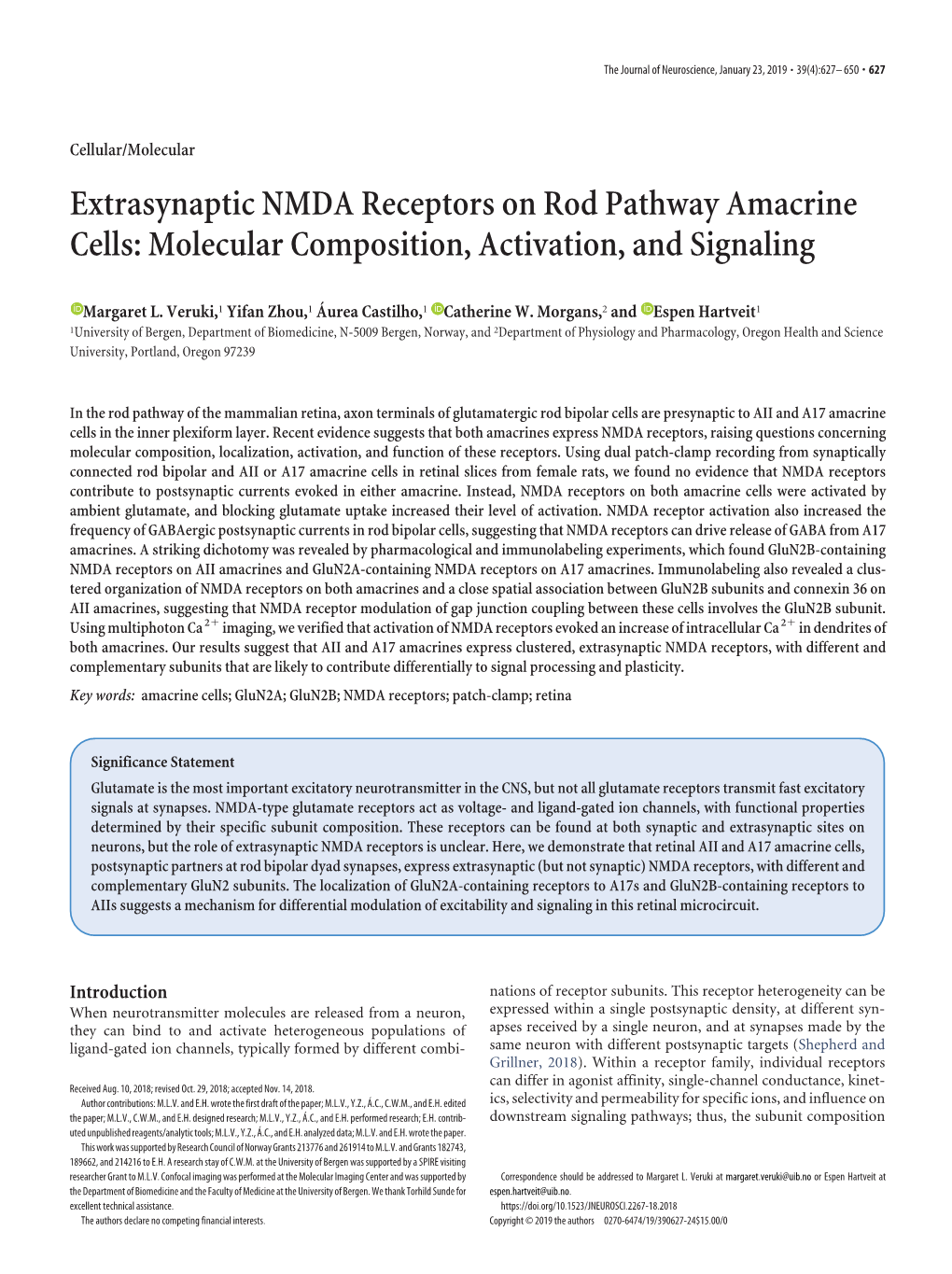 Extrasynaptic NMDA Receptors on Rod Pathway Amacrine Cells: Molecular Composition, Activation, and Signaling