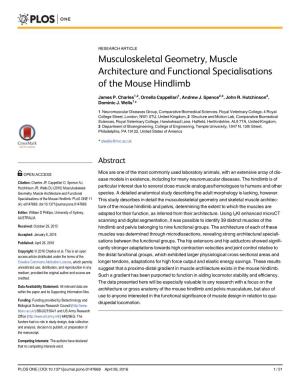 Musculoskeletal Geometry, Muscle Architecture and Functional Specialisations of the Mouse Hindlimb