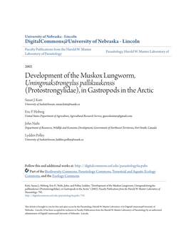 (Protostrongylidae), in Gastropods in the Arctic Susan J