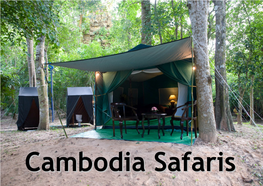 Cambodia Safaris Can Be Tackled by Motorbike with Support Vehicle for the More Adventurous at Heart