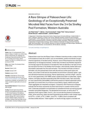 A Rare Glimpse of Paleoarchean Life: Geobiology of an Exceptionally Preserved Microbial Mat Facies from the 3.4 Ga Strelley Pool Formation, Western Australia