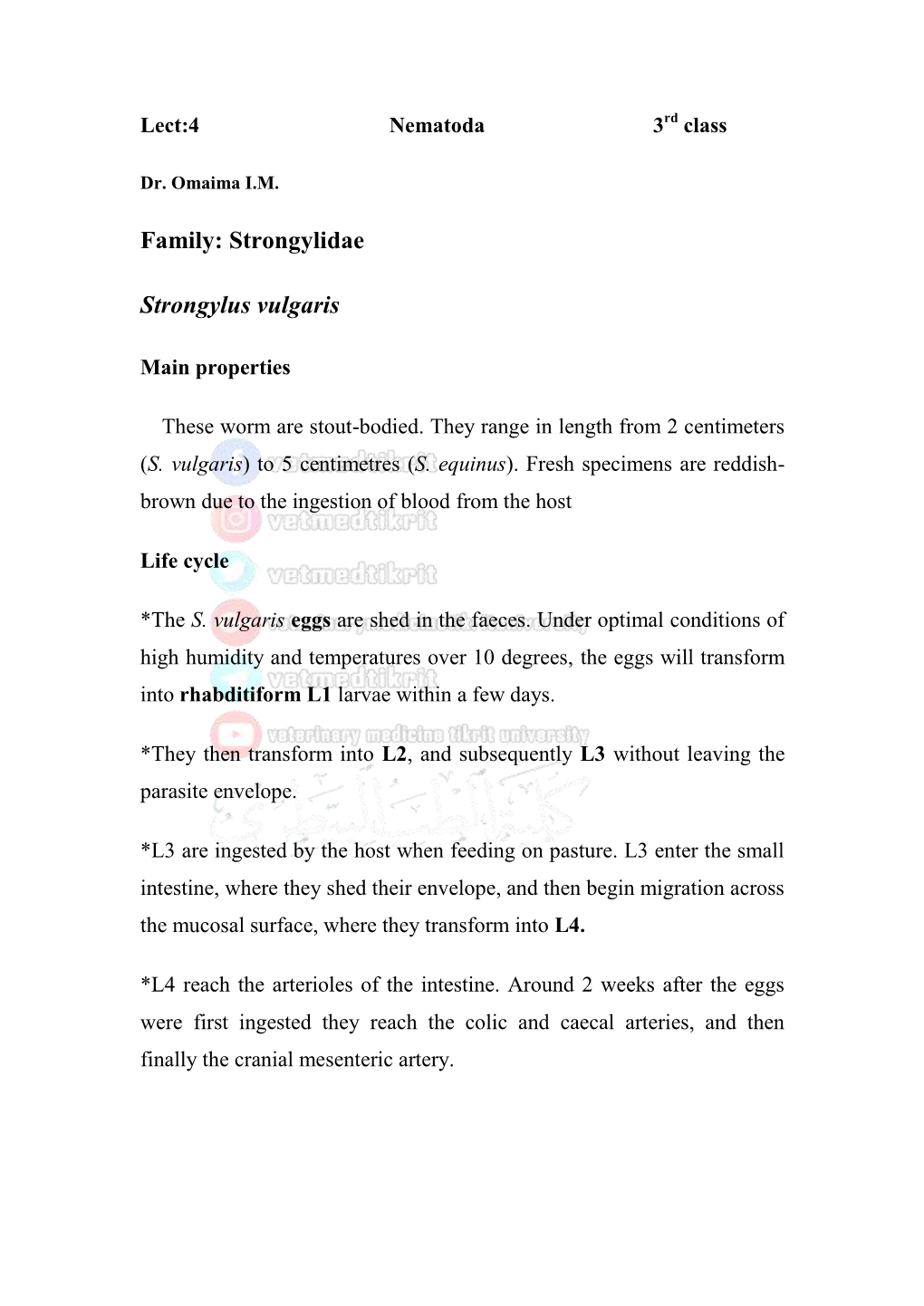 Family: Strongylidae Strongylus Vulgaris