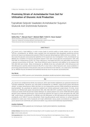 Promising Strain of Acinetobacter from Soil for Utilization of Gluconic Acid Production Topraktaki Gelecek Vaadeden Acinetobacte