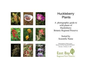 A Photographic Guide to Wild Plants of Huckleberry Botanic Regional Preserve