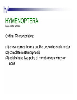 HYMENOPTERA Bees, Ants, Wasps