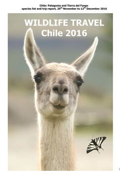 WILDLIFE TRAVEL Chile 2016