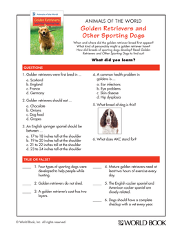 Golden Retrievers and Other Sporting Dogs