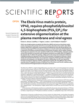 The Ebola Virus Matrix Protein, VP40, Requires Phosphatidylinositol 4,5-Bisphosphate