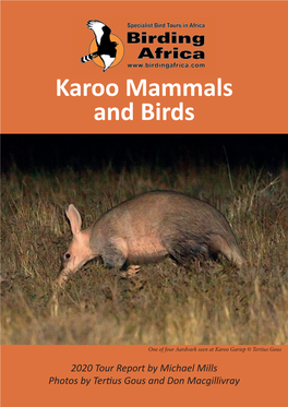 Karoo Mammals and Birds