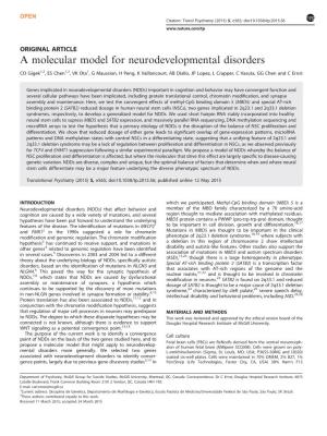 A Molecular Model for Neurodevelopmental Disorders