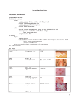 Dermatology Exam Notes Introduction to Dermatology Structure of the Skin I.) Epidermis