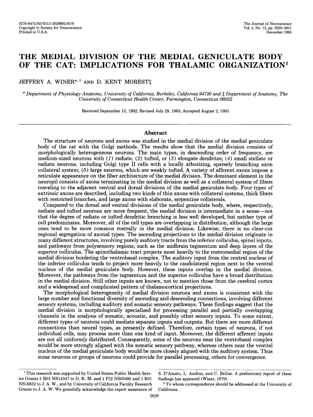 The Medial Division of the Medial Geniculate Body of the Cat: Implications for Thalamic Organization’