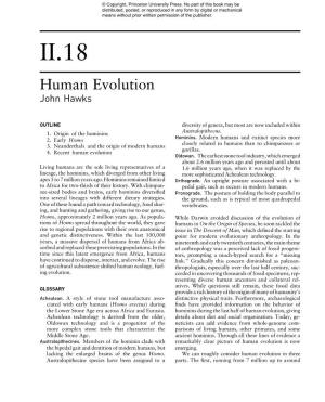 Human Evolution John Hawks