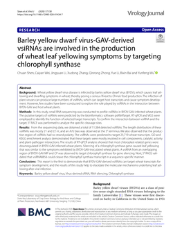 Barley Yellow Dwarf Virus-GAV-Derived Vsirnas Are Involved in the Production of Wheat Leaf Yellowing Symptoms by Targeting Chlor