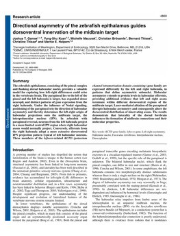 Directional Asymmetry of the Zebrafish Epithalamus Guides Dorsoventral