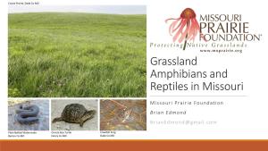 Prairie Amphibians and Reptiles in Missouri