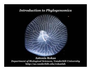 Introduction to Phylogenomics